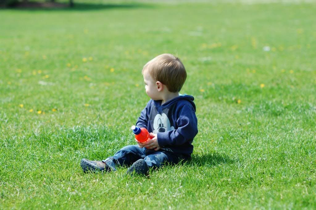 photo 05-20-20139_zpsc2d537f4.jpg