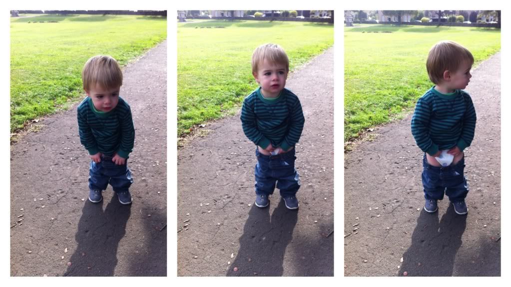 Toddler boy potty training.