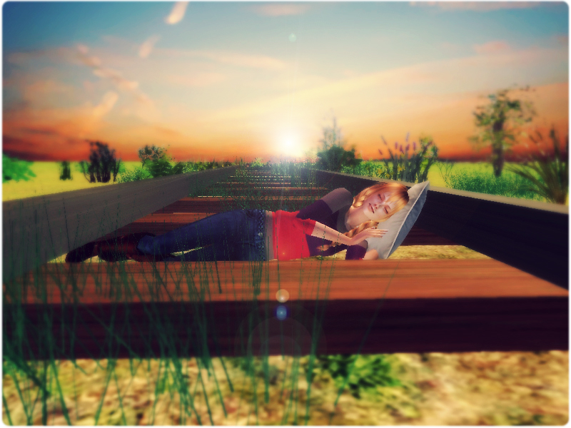 SIM0065copy.png