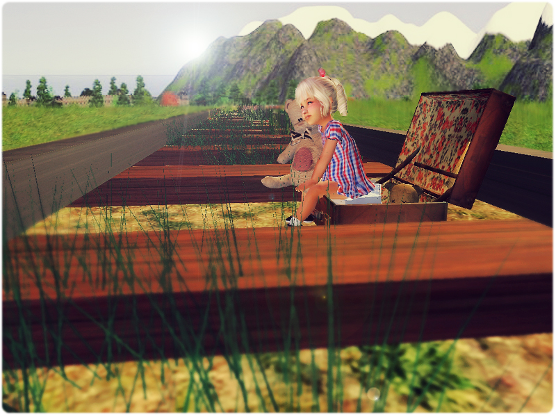 SIM0080copy.png