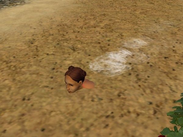 snapshot_7cb338cf_3cc13f4e.jpg