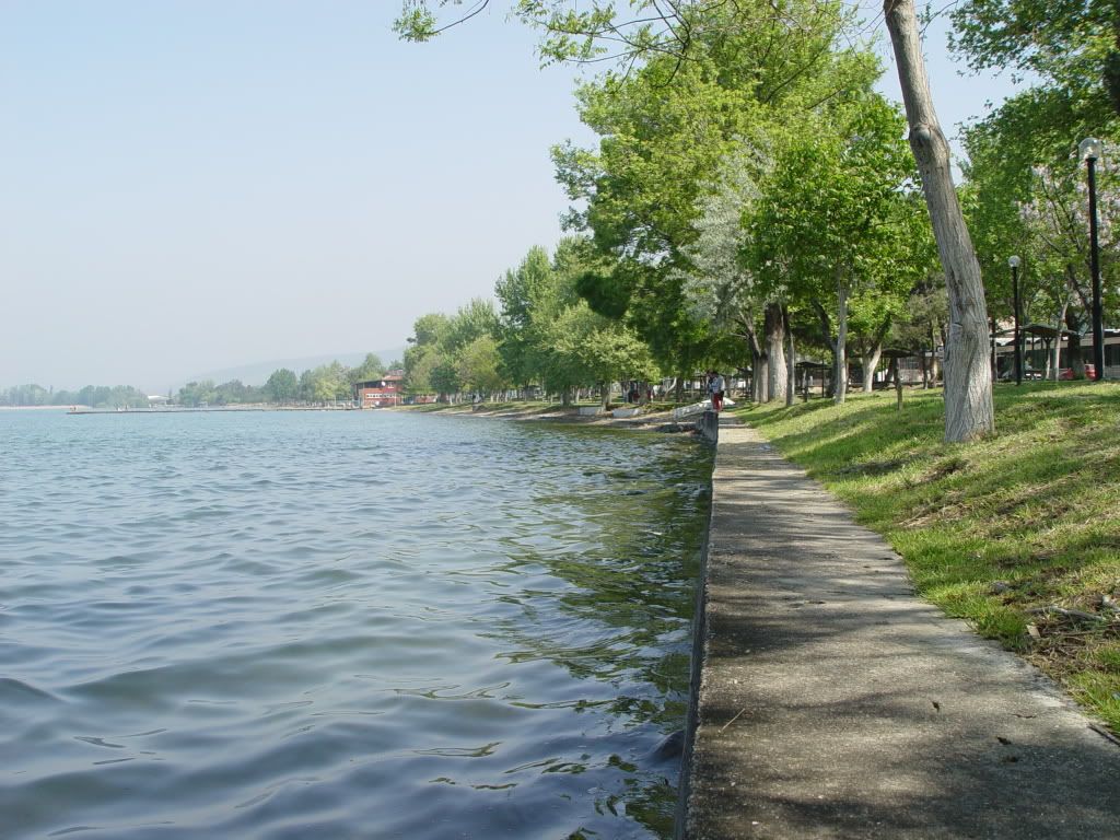 DSC00648.jpg