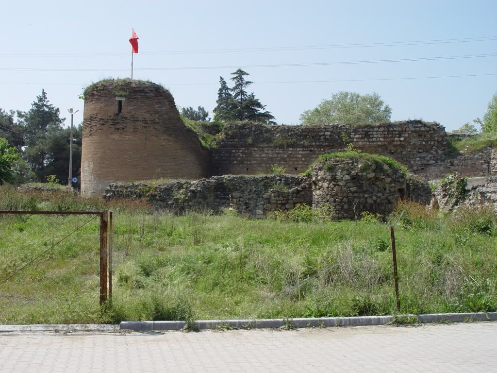 DSC00741.jpg
