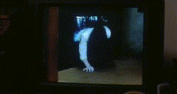 Kimi ni Todoke, Famous in Japan