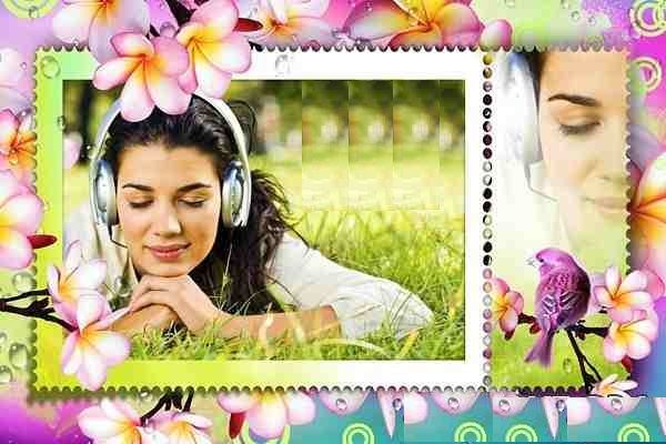 PSD – Fotoğraf Çerçevesi PSD – Fotoğraf Çerçevesi
