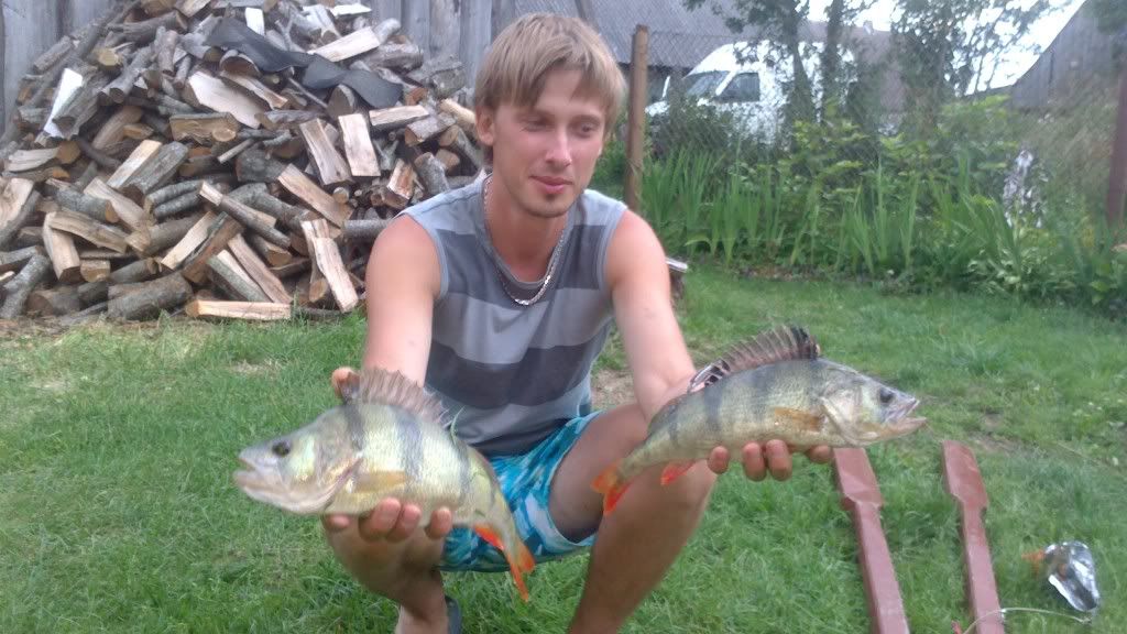 Paveikslėlis