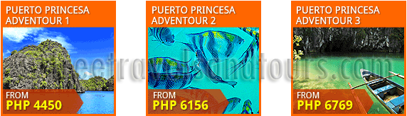 AirPhil Express Puerto Princesa Tour Packages