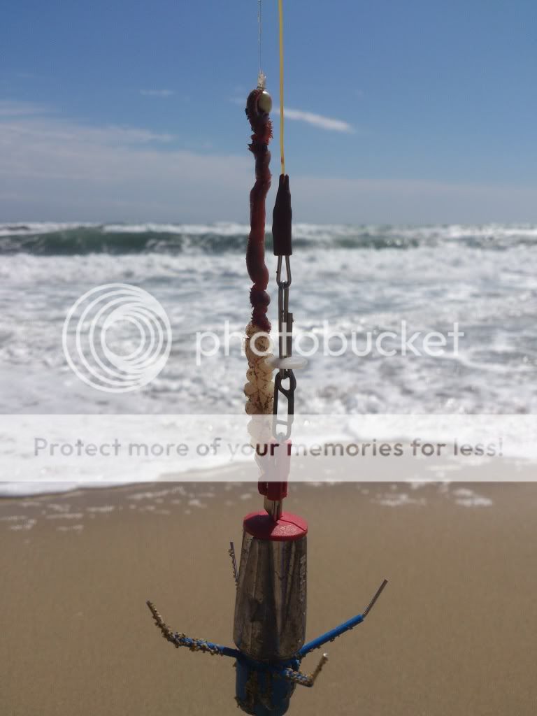 GEMINI SPLASH DOWN SOLO BAIT CLIP GLOW IN THE DARK - Angling Centre - Foto 4