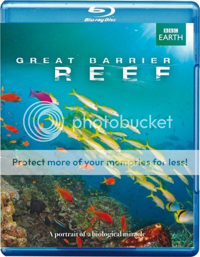 Büyük Bariyer Resifi Great Barrier Reef 2012 3 Bölüm (Türkçe Dublaj) 480p Brrip XViD